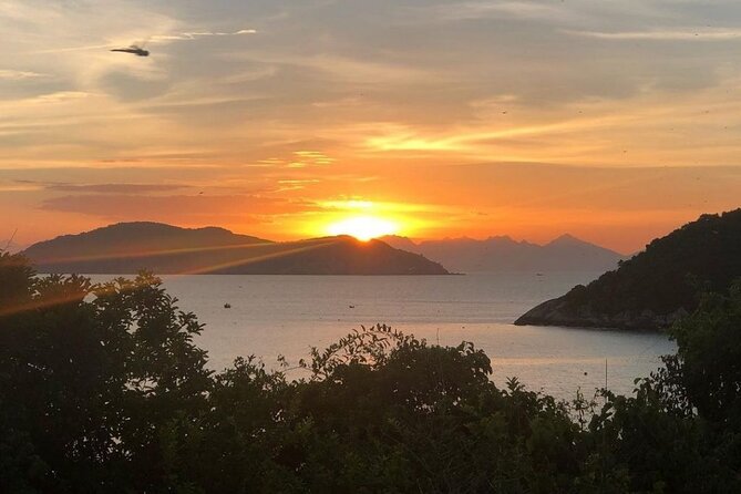 Cham Island Daily-Snorkeling(Optional:Pick up at Cua Dai Port) - The guides and the pace of the day