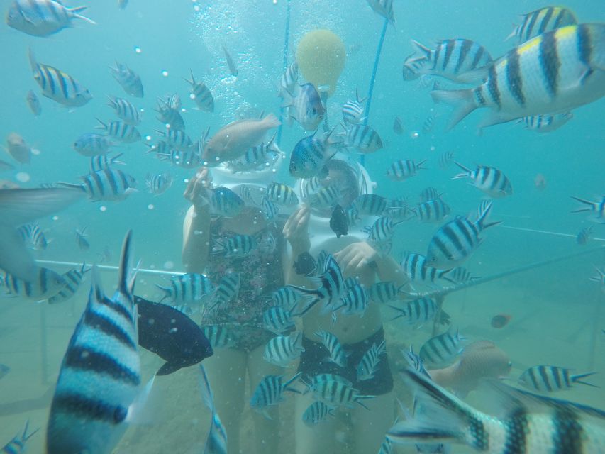 Cham Island: Underwater Walking & Snorkeling Tour - The main attraction: walking beneath Cham Island
