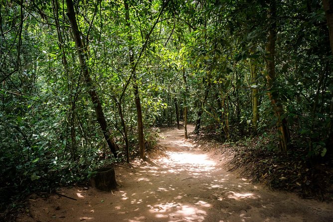 Cu Chi Tunnels Half-Day Tour: Vietnam War Underground Network - Entering the underground passages