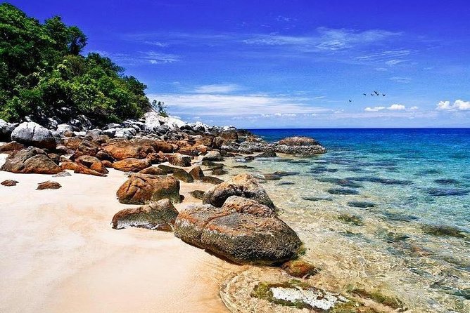 Cu Lao Cham Island Tour from Da Nang/ Hoi An - A quick route from Da Nang to Cua Dai Quay