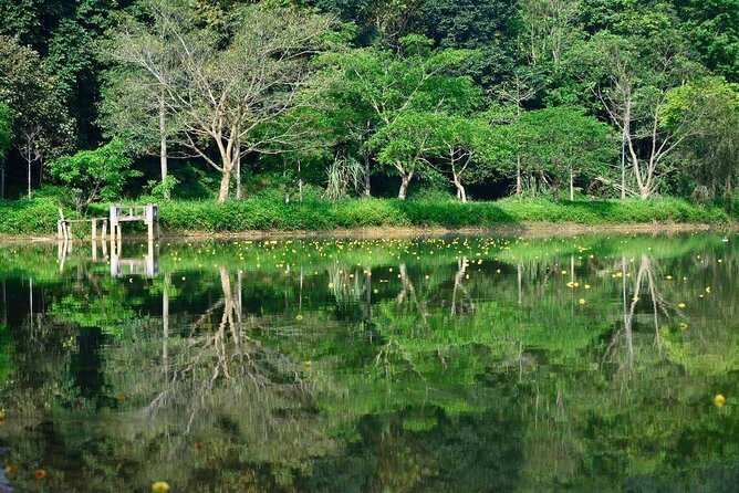 Cuc Phuong National Park Private Day Tour: Trekking & Primates - Meeting Primates at the Rescue Centre