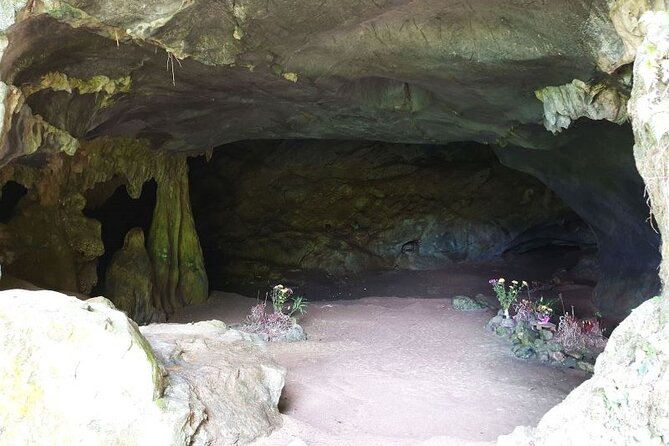 Cuc Phuong National Park Private Day Tour: Trekking & Primates - What the Private Format Really Gives You