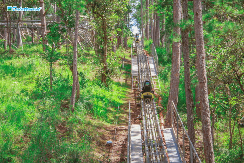 Da Lat: Datanla New Alpine Coaster Experience Entry Ticket - Why the Datanla coaster is worth your time