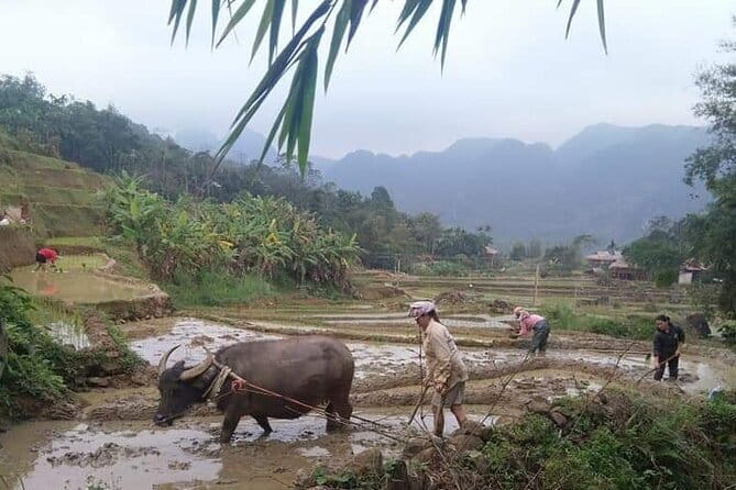 Da Lat Easy Rider-3 Days From Dalat To Ho Chi Minh city - Day one: coffee roads, Elephant Waterfall, and Linh An Pagoda