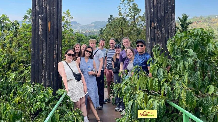 Da Lat: Half-Day Afternoon – Mongo Land & Go kart-Mario kart - The final choice: Luge Kart or Fresh Garden