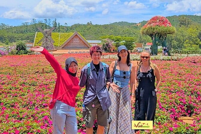 Da Lat: Half-Day Morning - Clay Tunnel, Crazy House, Datanla Fall - 8:30 a.m. pickup and a small-group start