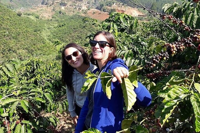 Da Lat Loop Tour On Motorbike - Private Tour - The long route to Pongour Falls