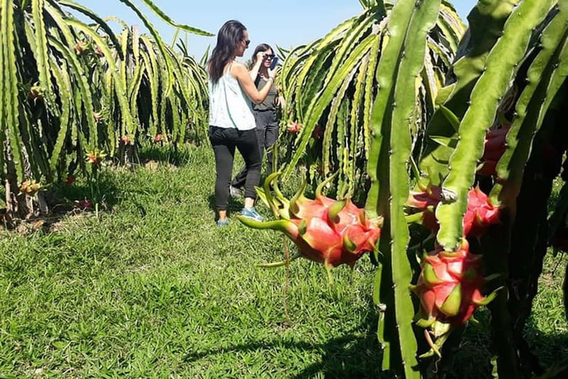 Da Lat Loop Tour On Private Car - Van Thanh Flower Village and Da Lat’s farming identity