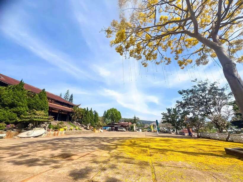 Dalat: 3 Waterfalls Day Tour — Datanla, Pongour & Elephant - Van Thanh Flower Village starts the day