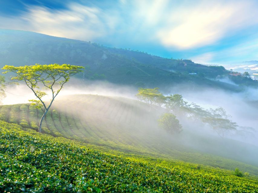 Dalat: Best of the Countryside Tour in a Private Car - Why this Dalat day trip works