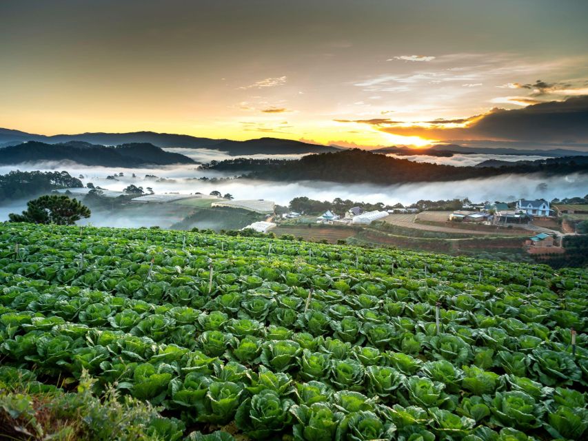 Dalat: Best of the Countryside Tour in a Private Car - Ending at Tuyen Lam Lake