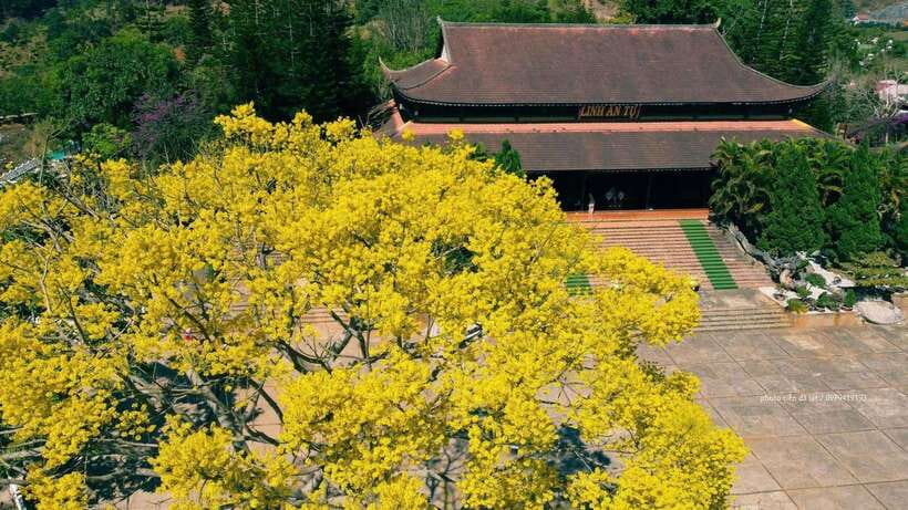 Dalat Countryside & Pongour Waterfall Tours (Small Group) - Key points to know before booking