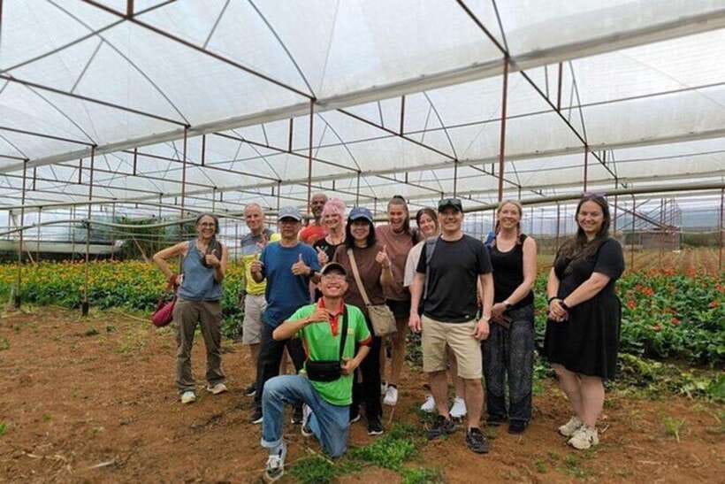 Dalat Countryside & Pongour Waterfall Tours (Small Group) - Van Thanh Flower Village and Dalat’s farming identity
