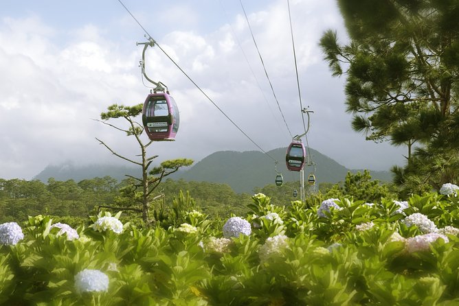 Dalat Private Tour Package in 2 Days - From Da Lat coffee plants to the finished bean