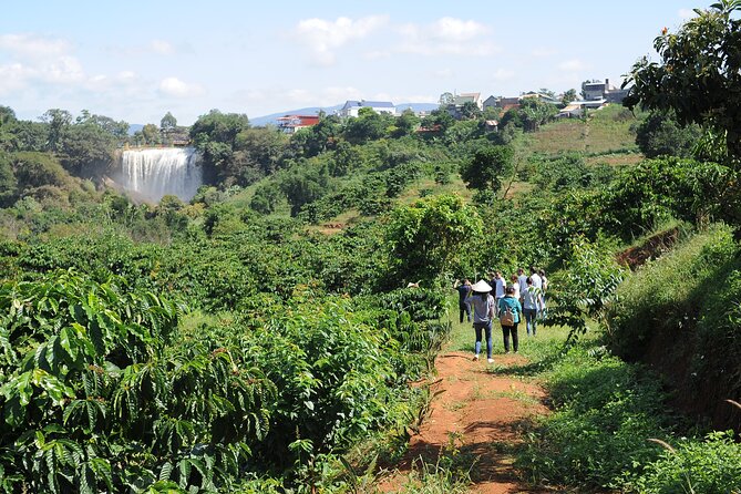 Dalat's countryside|Coffee Plantations Tour beyond Elephant falls - The Opening Lesson on Coffee Varieties