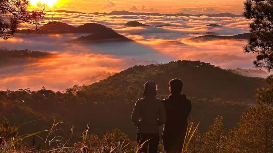 Dalat: Sunrise Trekking and Cloud Hunting experience - Walking 4 to 5 km through forest