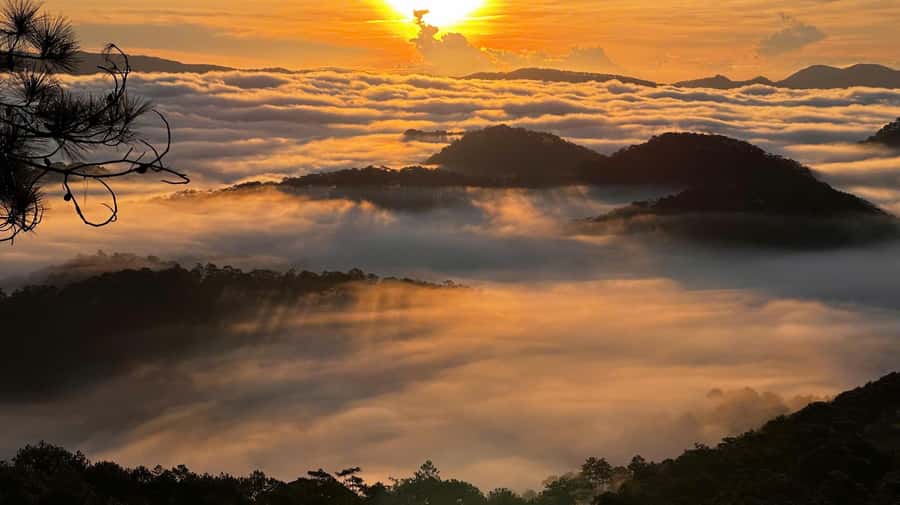 Dalat: Sunrise Trekking and Cloud Hunting experience - Guides, photos, and the human side of the morning