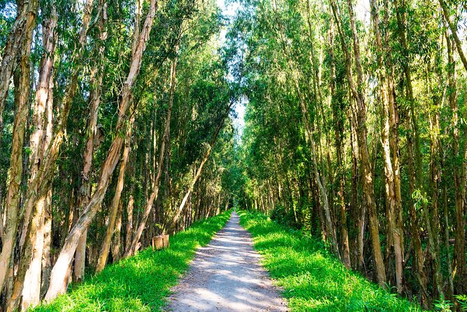 Discover Mua Xuan Nature Reserve - A 30-minute walk through the forest