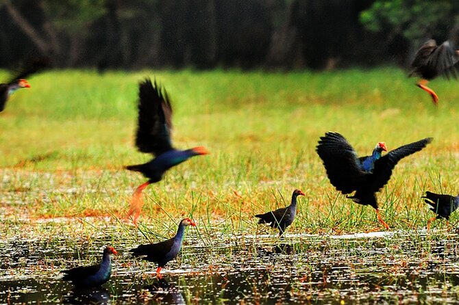 Discover Mua Xuan Nature Reserve - Guides who shape the experience