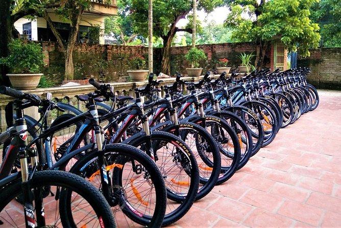 Discover Trang An Natural World Heritage, Bich Dong Pagoda, Cycling Day Tour - Why this Ninh Binh day trip works