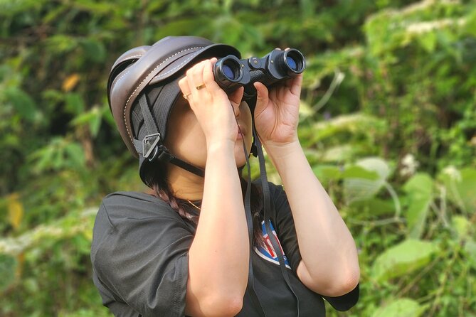 Endangered Monkeys Watching - Red Shanked Douc Langurs - Why Son Tra’s red-shanked douc langurs are worth your morning