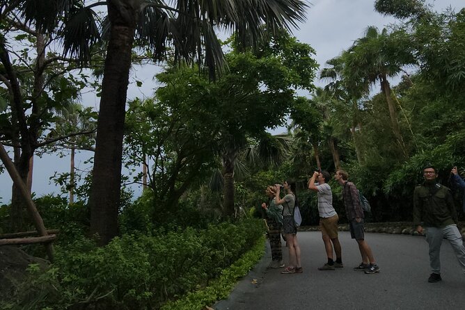 Endangered Monkeys Watching - Red Shanked Douc Langurs - The scenery beyond the langurs