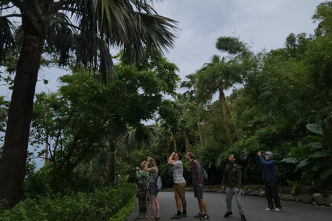 Endangered Monkeys Watching - Red Shanked Douc Langurs - The ride from Esco Beach into Monkey Mountain