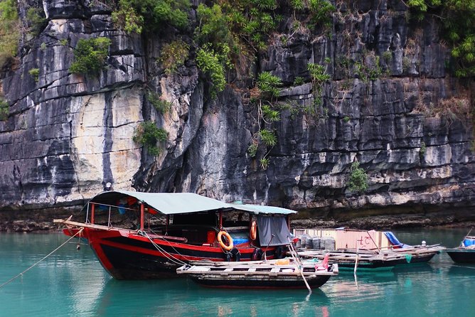 Excursion to Ha Long Bay with Titop Island and kayaking in Luon Cave - What the $41 price really covers