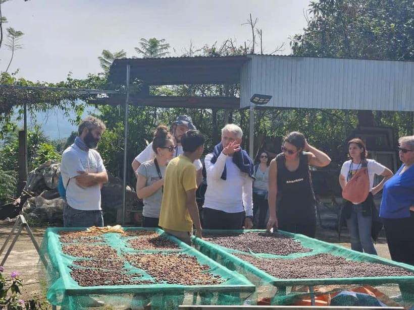 Experience specialty coffee with sustainable coffee farmers - Roasting green beans with your own hands