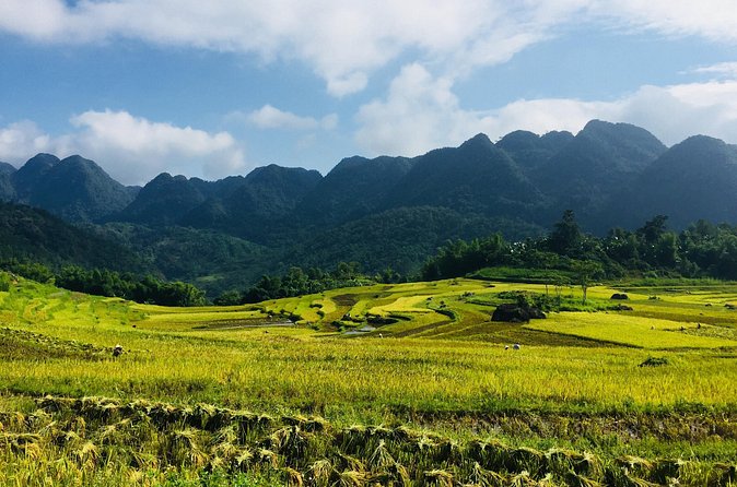 Explore Mai Chau - Pu Luong - Ninh Binh 4 Days / 3 Nights - Day 4: Cycling to Hoa Lu and boating through Trang An