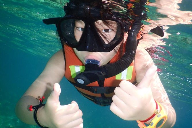 Explore Nha Trang Bay: Half-Day Snorkeling Adventure Tour - Water conditions, jellyfish, and reef expectations
