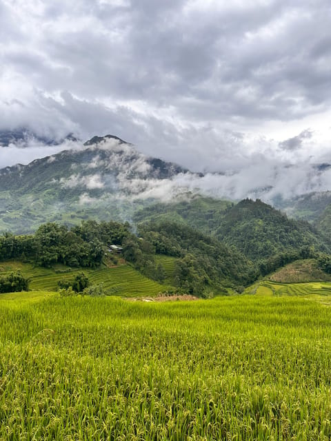 Explore Sapa by TrekkingAdventures, Mountain,Rice fields - Key points at a glance