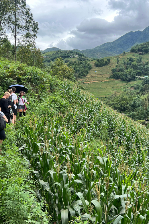 Explore Sapa by TrekkingAdventures, Mountain,Rice fields - FAQ