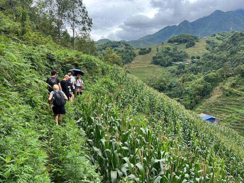Explore Sapa by TrekkingAdventures, Mountain,Rice fields - Why this Sapa walk feels different from a town excursion