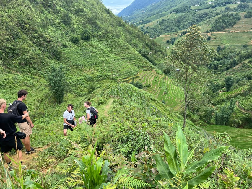 Explore Sapa by TrekkingAdventures, Mountain,Rice fields - Choosing the route from Lao Chai toward Ta Van