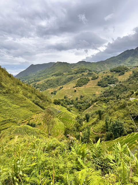 Explore Sapa by TrekkingAdventures, Mountain,Rice fields - Should you book it?