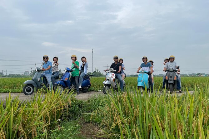 Exploring Vespa Tour Through Little Red River Delta - Rice Fields and Village Roads in the Red River Delta