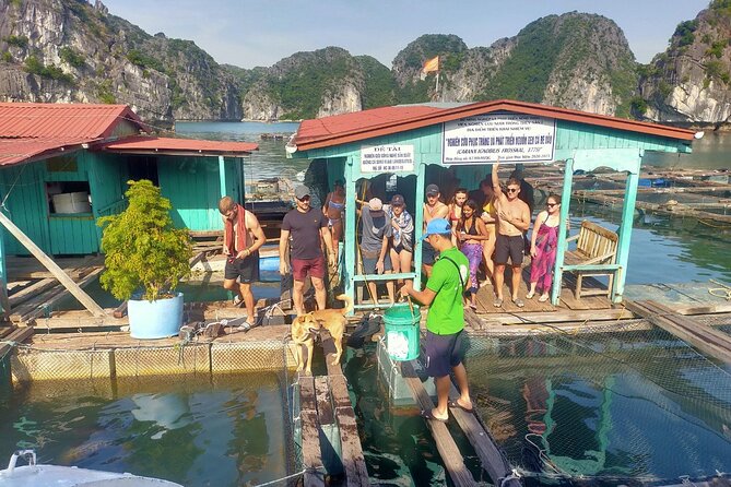 From Ha Noi/Cat Ba: Full-Day Cruise to Lan Ha bay - Ha Long Bay - Why this Cat Ba boat trip works so well