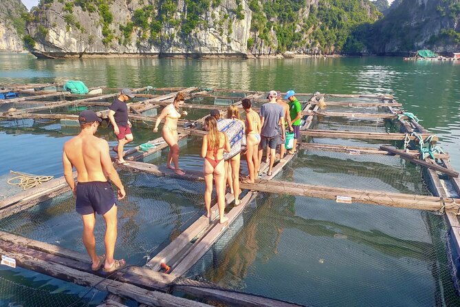 From Ha Noi/Cat Ba: Full-Day Cruise to Lan Ha bay - Ha Long Bay - Starting at Beo Pier and entering Lan Ha Bay
