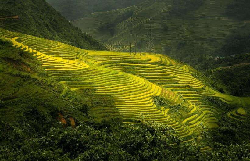 From Hanoi: 1-day Sapa Trekking Tour With Overnight Bus - Walking from Y Linh Ho into Muong Hoa Valley