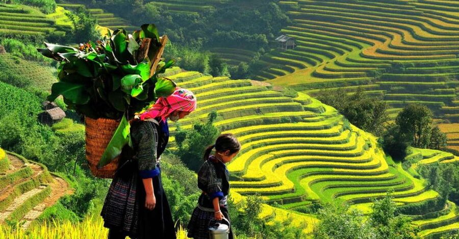 From Hanoi: 2-Day 2-Night Sapa Tour by Overnight Train - Key points at a glance