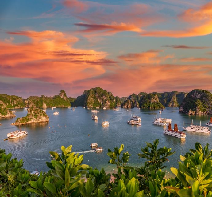 From Hanoi: 2-Day Ha Long Bay Tour with Ninh Binh and Cruise - Titop Island, swimming, and the climb for views