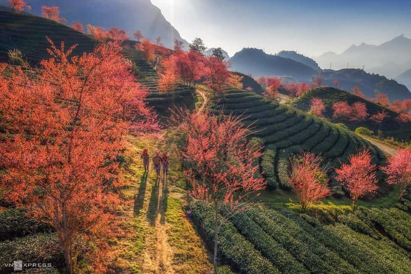 From Hanoi: 2-Day Luxury Sapa Trekking Tour with Homestay - Why this Sapa route works well for a short trip