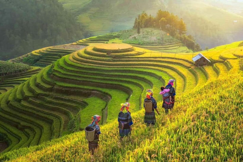 From Hanoi: 2-Day Luxury Sapa Trekking Tour with Homestay - The overnight bus from Hanoi to Sapa