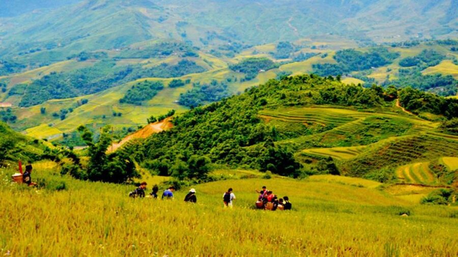 From Hanoi: 2-Day Overnight Sapa Tour by Limousine - Ta Van and Dzay village life