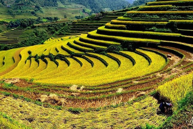 From Hanoi: 2-Day Overnight Sapa Tour by Luxury Van Limousine - Weather, footwear, and physical effort