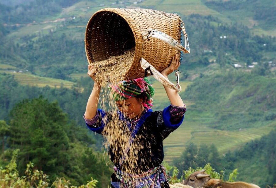 From Hanoi: 2-Day Sapa Cultural Exchange Tour with Homestay - The Ta Van homestay and what basic really means