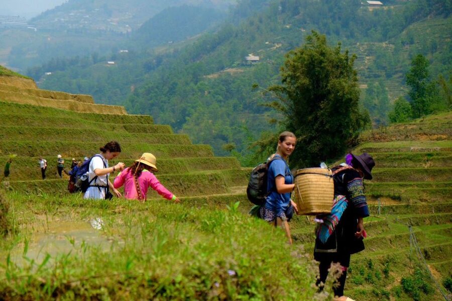 From Hanoi: 2-Day Sapa, Fansipan, and Muong Hoa Valley Tour - Afternoon at Fansipan, Vietnam’s highest peak