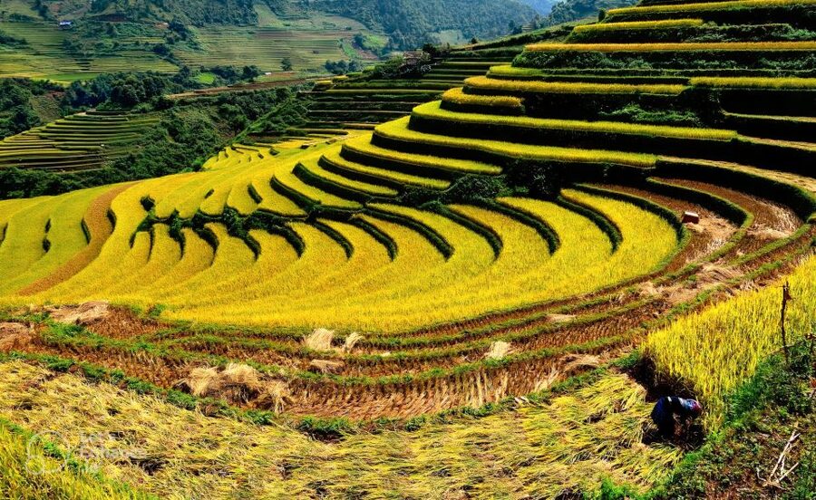 From Hanoi: 2-Day Sapa-Fansipan Peak & Trek & Ha Giang Bus - Choosing your way home to Hanoi