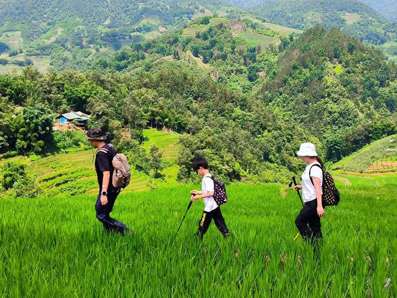 From Hanoi: 2-Day Sapa Trek Tour - Luxury Limousine Transfer - Price and practical value at $189